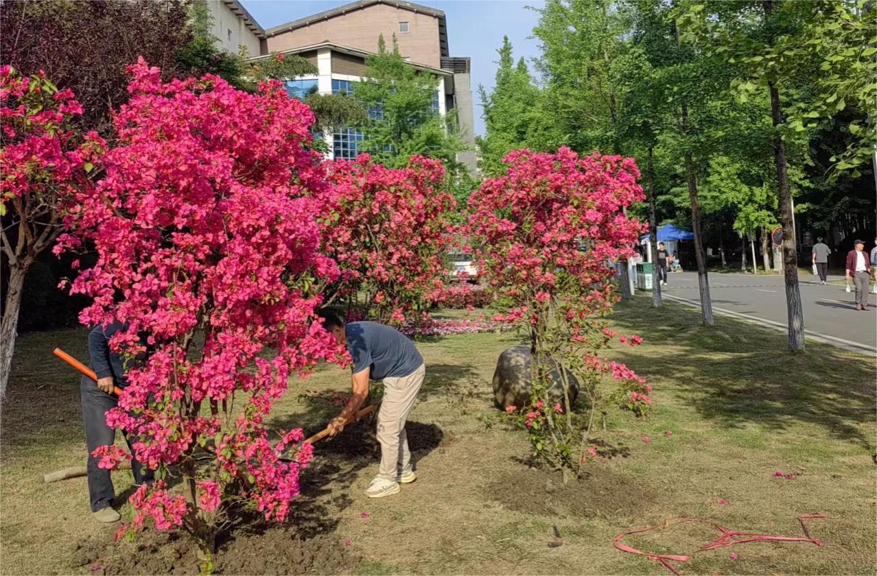 英国365(集团)公司官方网站