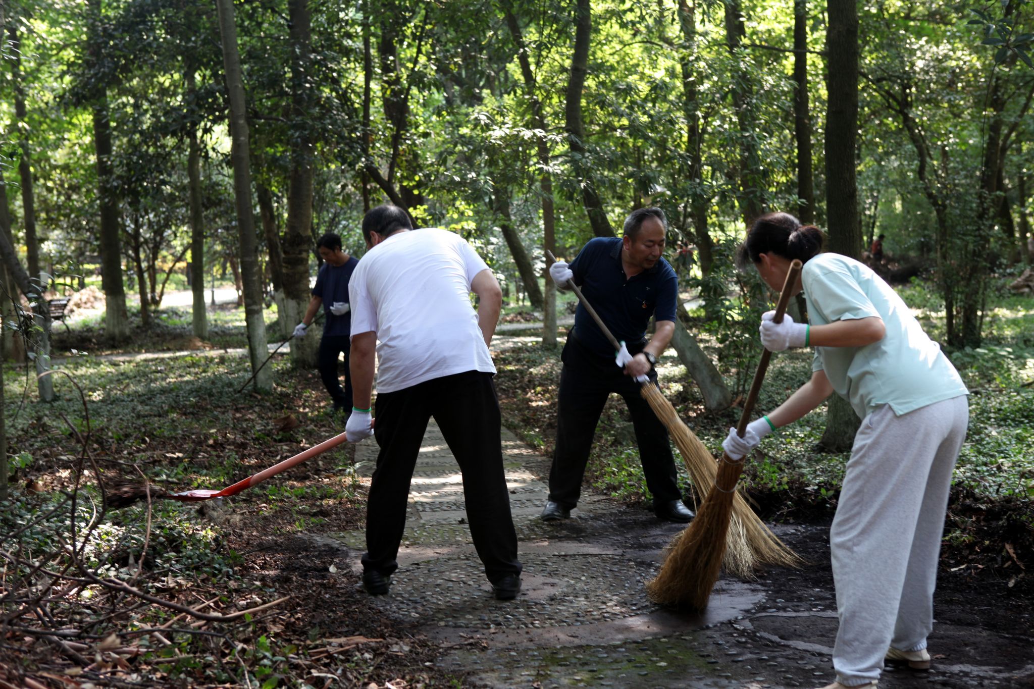 英国365(集团)公司官方网站
