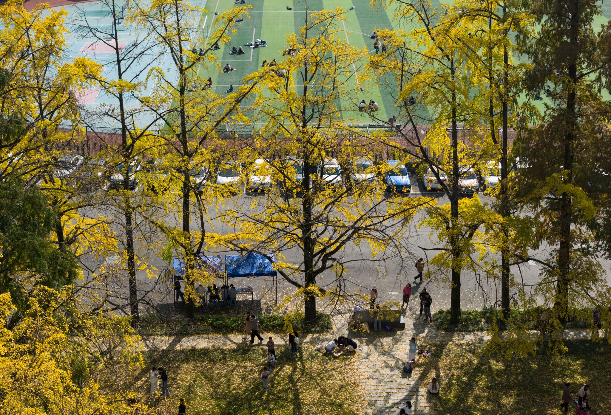 英国365(集团)公司官方网站