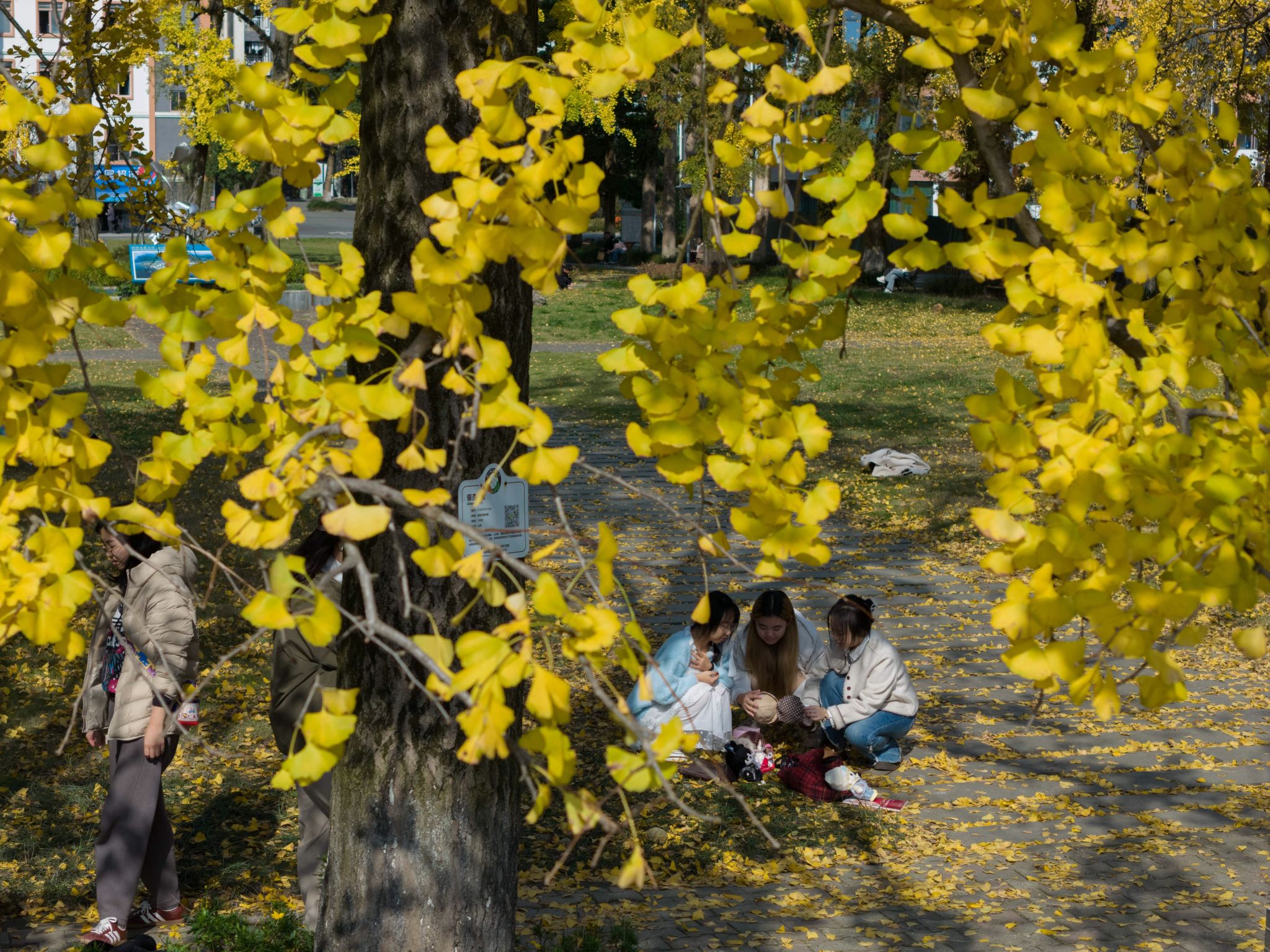 英国365(集团)公司官方网站