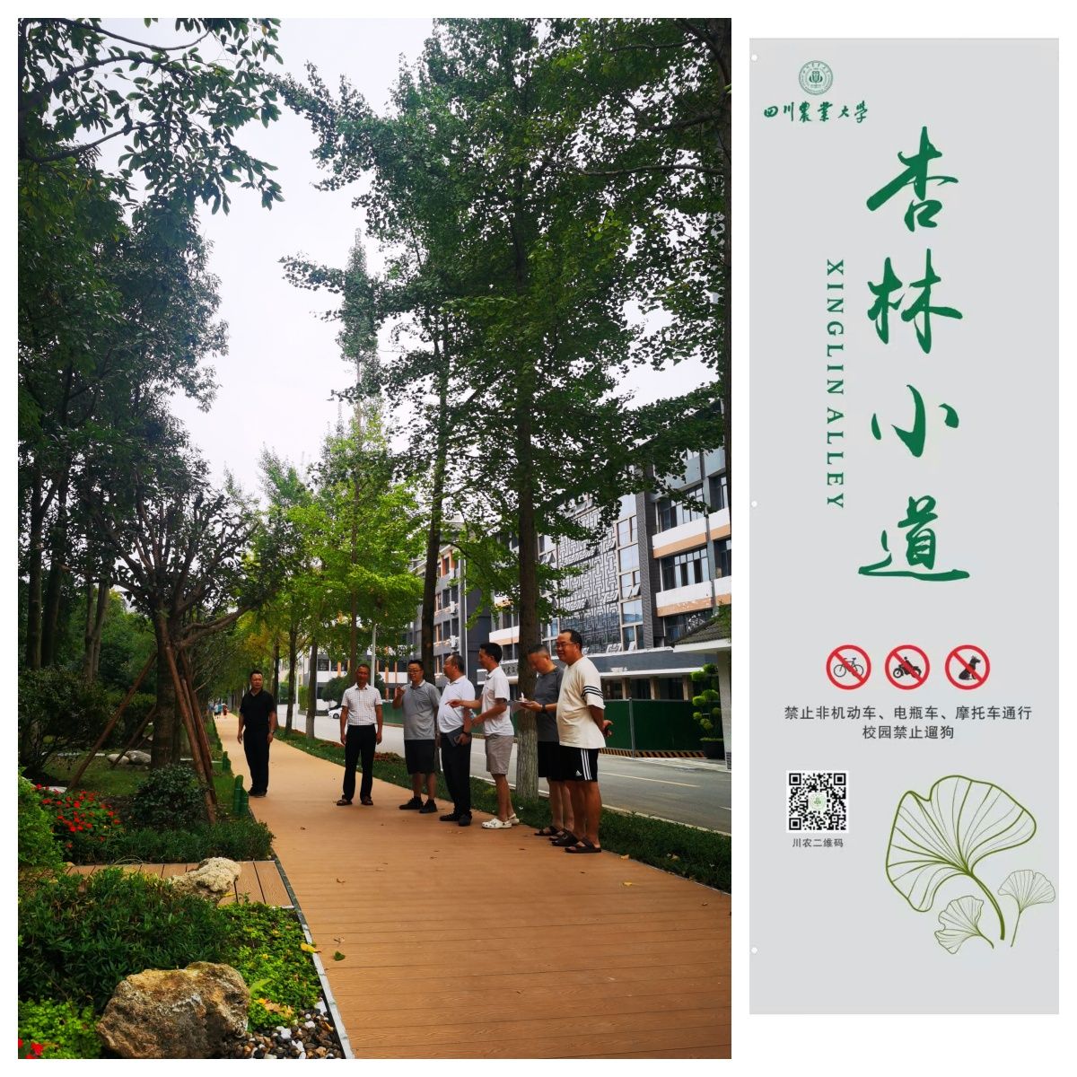 英国365(集团)公司官方网站