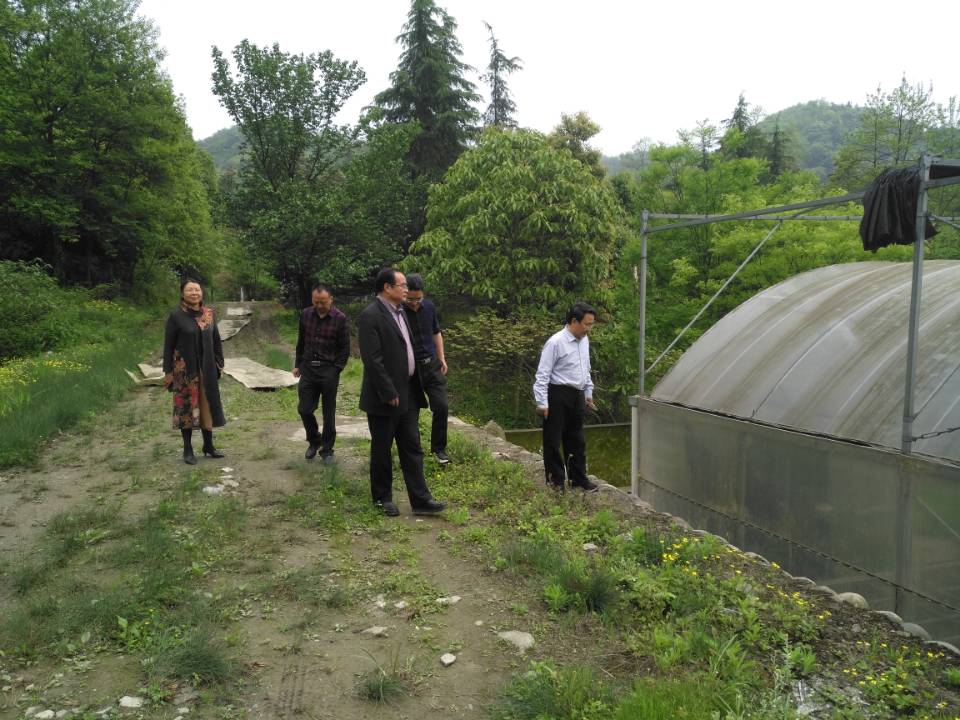 英国365(集团)公司官方网站