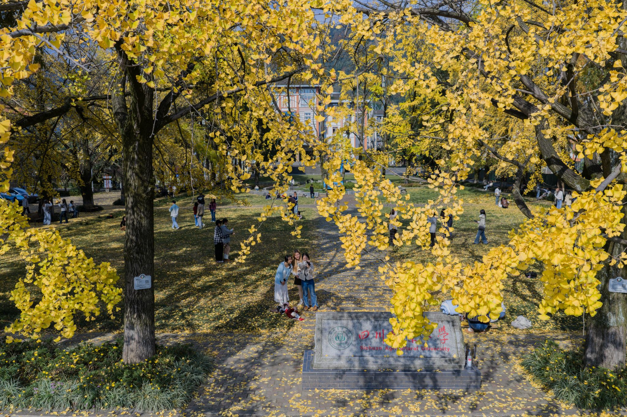 英国365(集团)公司官方网站