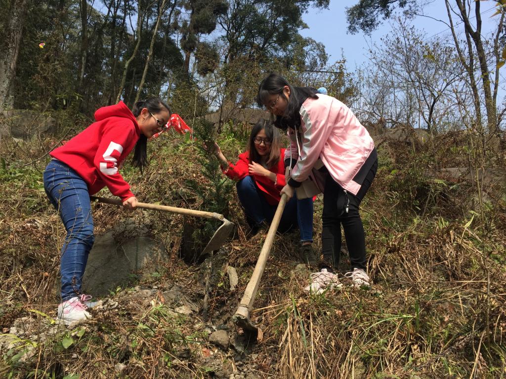 英国365(集团)公司官方网站