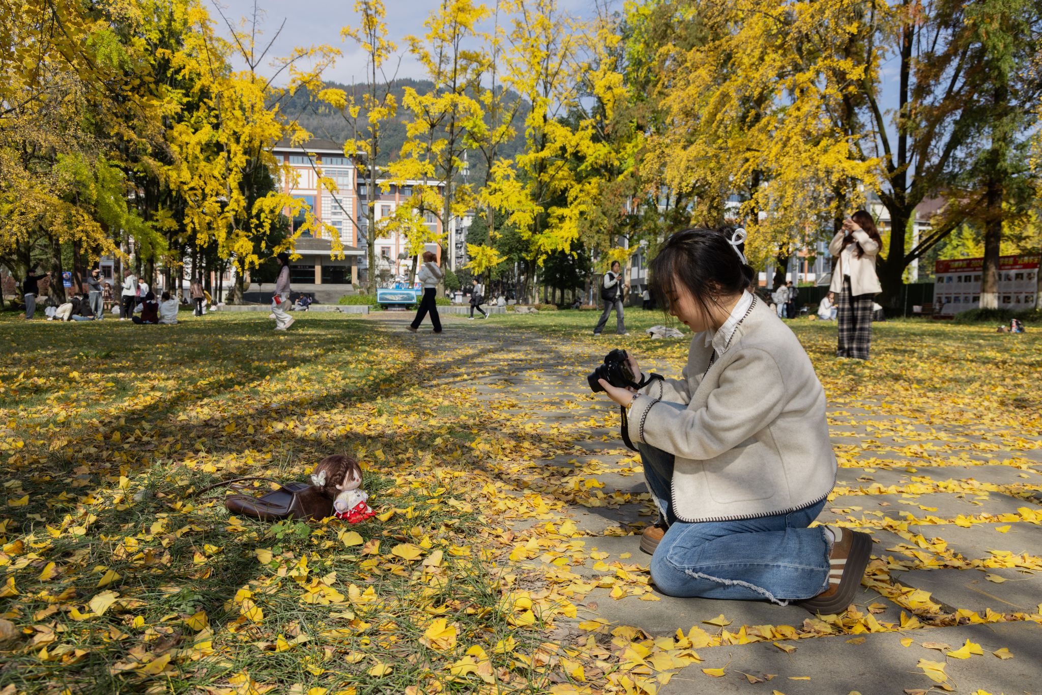 英国365(集团)公司官方网站