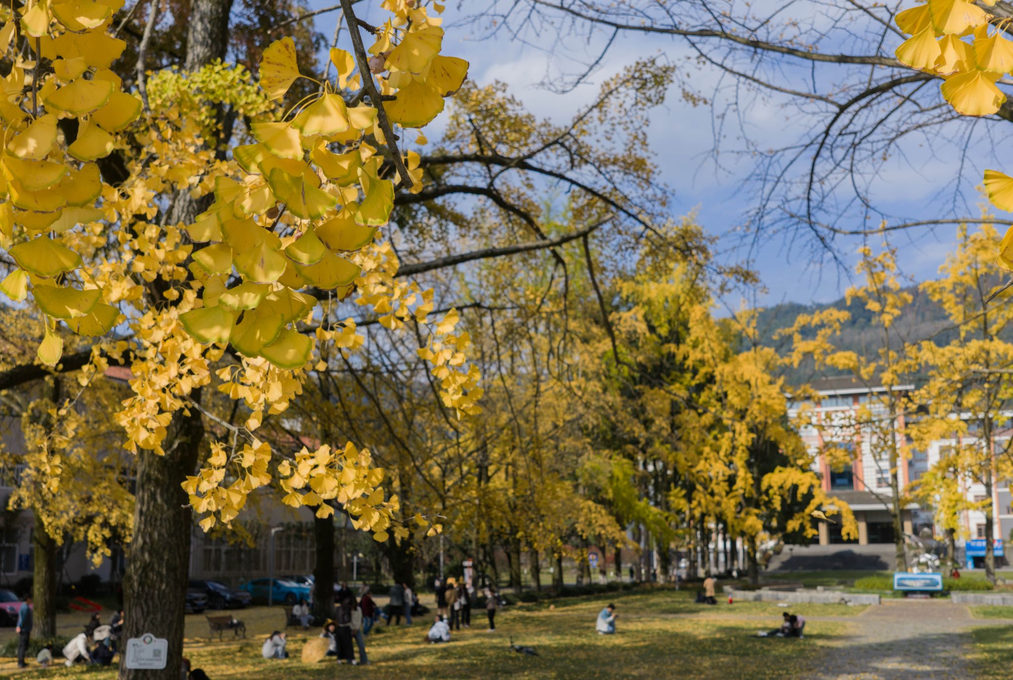 英国365(集团)公司官方网站