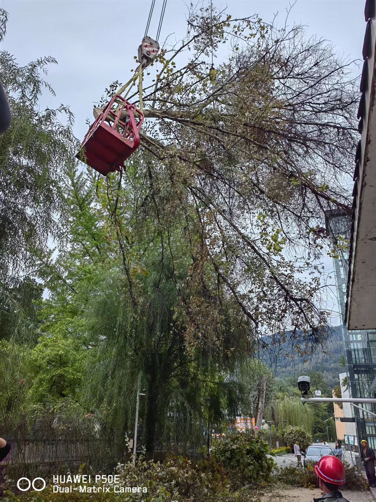 英国365(集团)公司官方网站