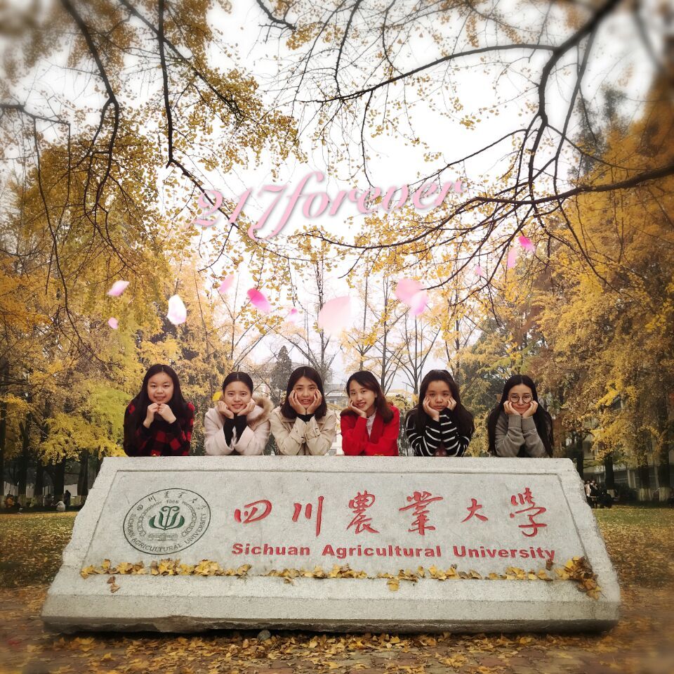 英国365(集团)公司官方网站