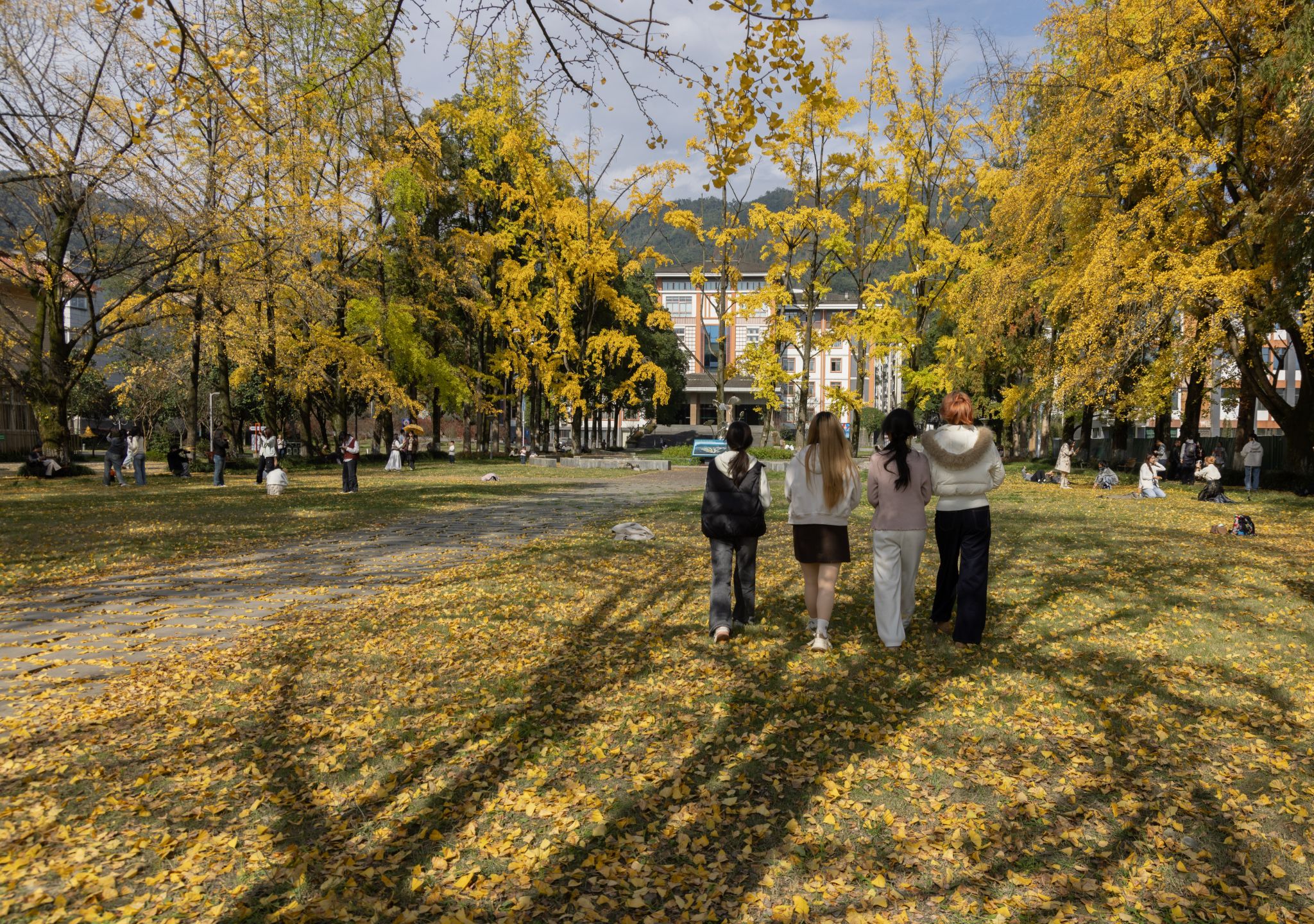 英国365(集团)公司官方网站