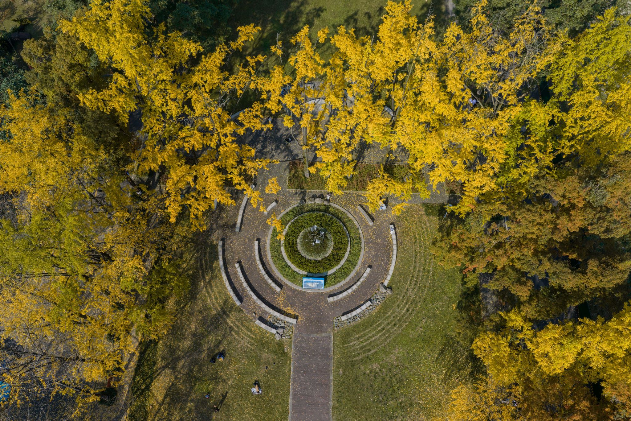 英国365(集团)公司官方网站