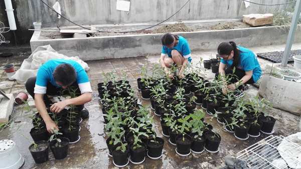 英国365(集团)公司官方网站