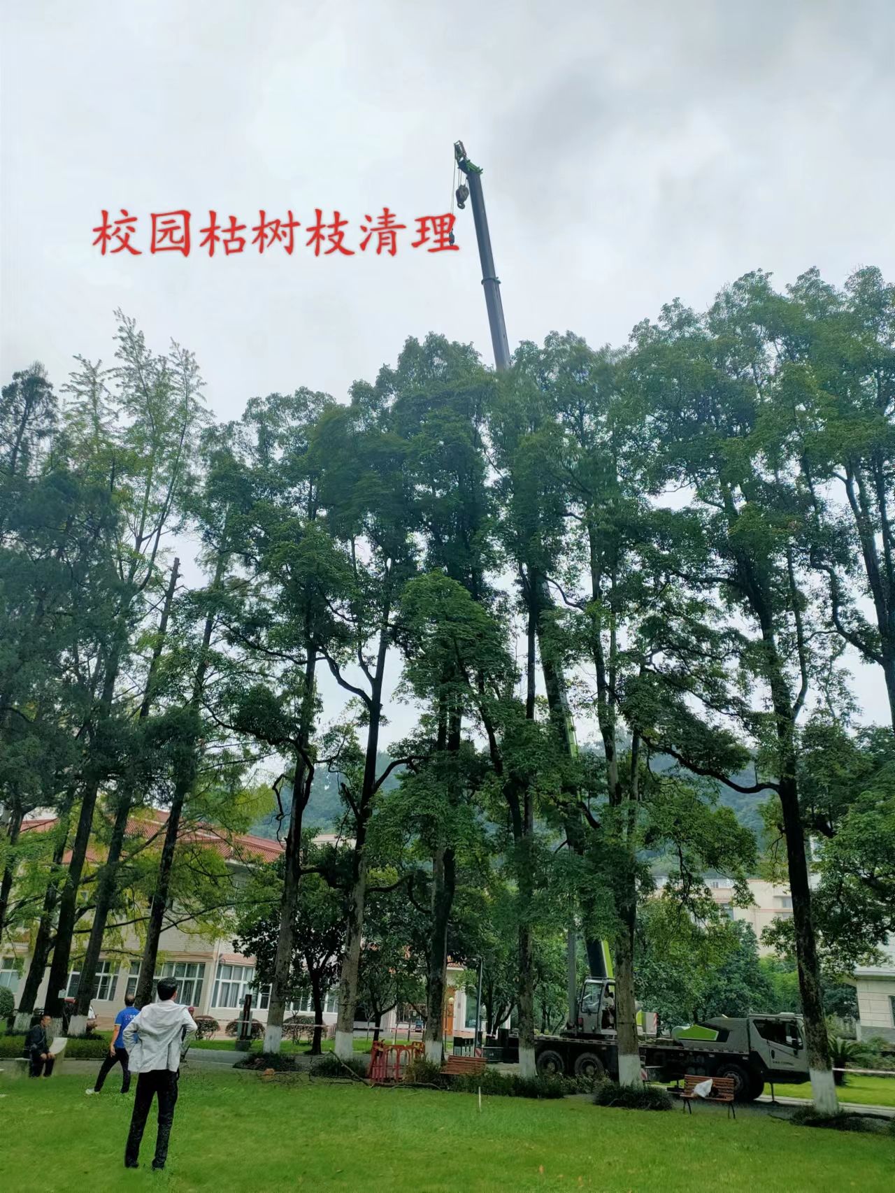 英国365(集团)公司官方网站