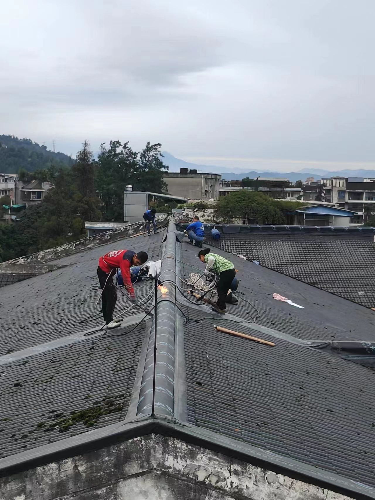 英国365(集团)公司官方网站