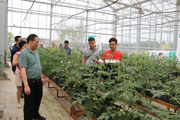 英国365(集团)公司官方网站