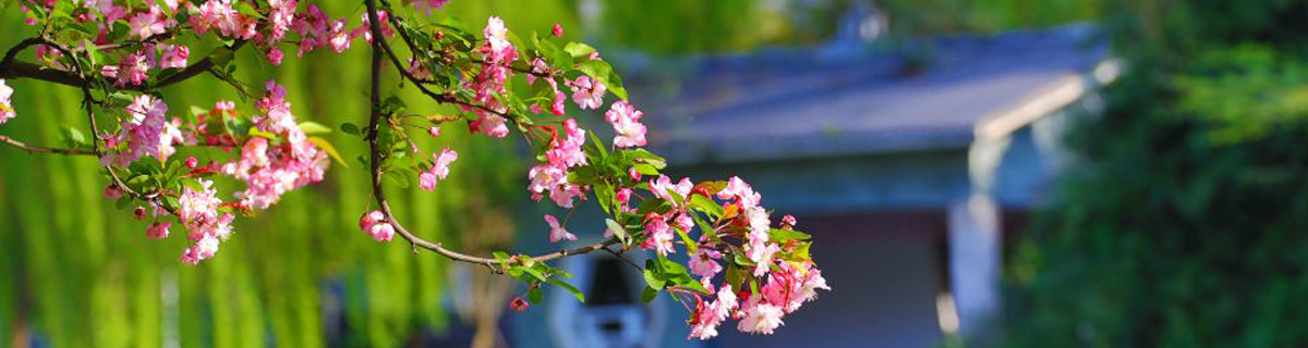 英国365(集团)公司官方网站