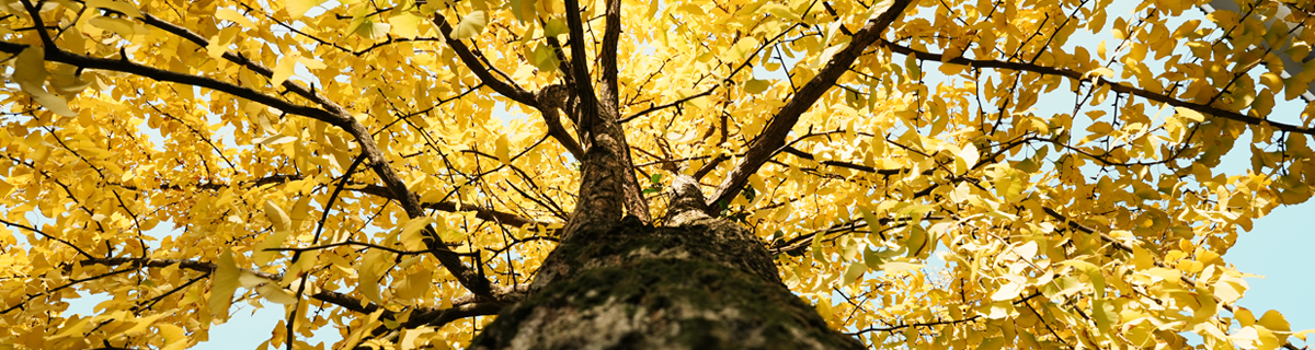 英国365(集团)公司官方网站