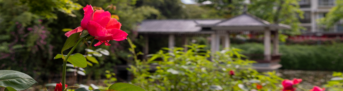 英国365(集团)公司官方网站