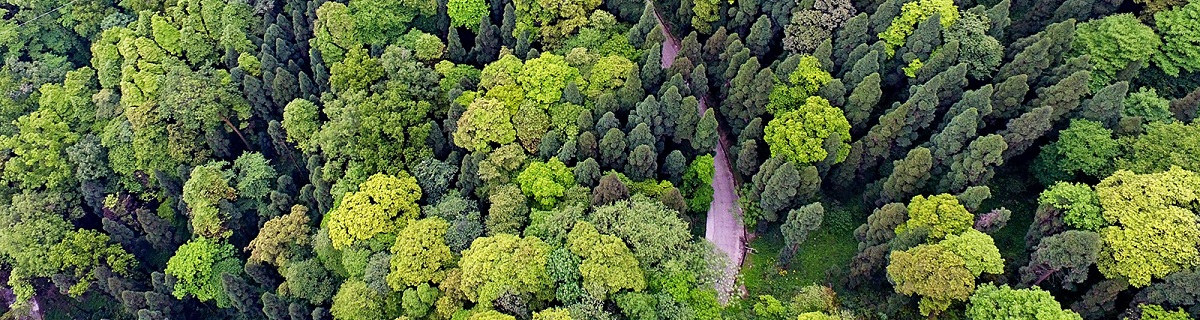 英国365(集团)公司官方网站