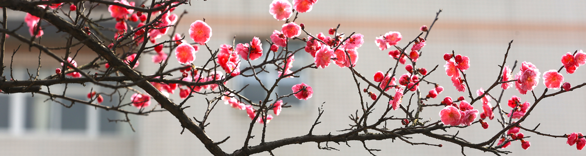 英国365(集团)公司官方网站